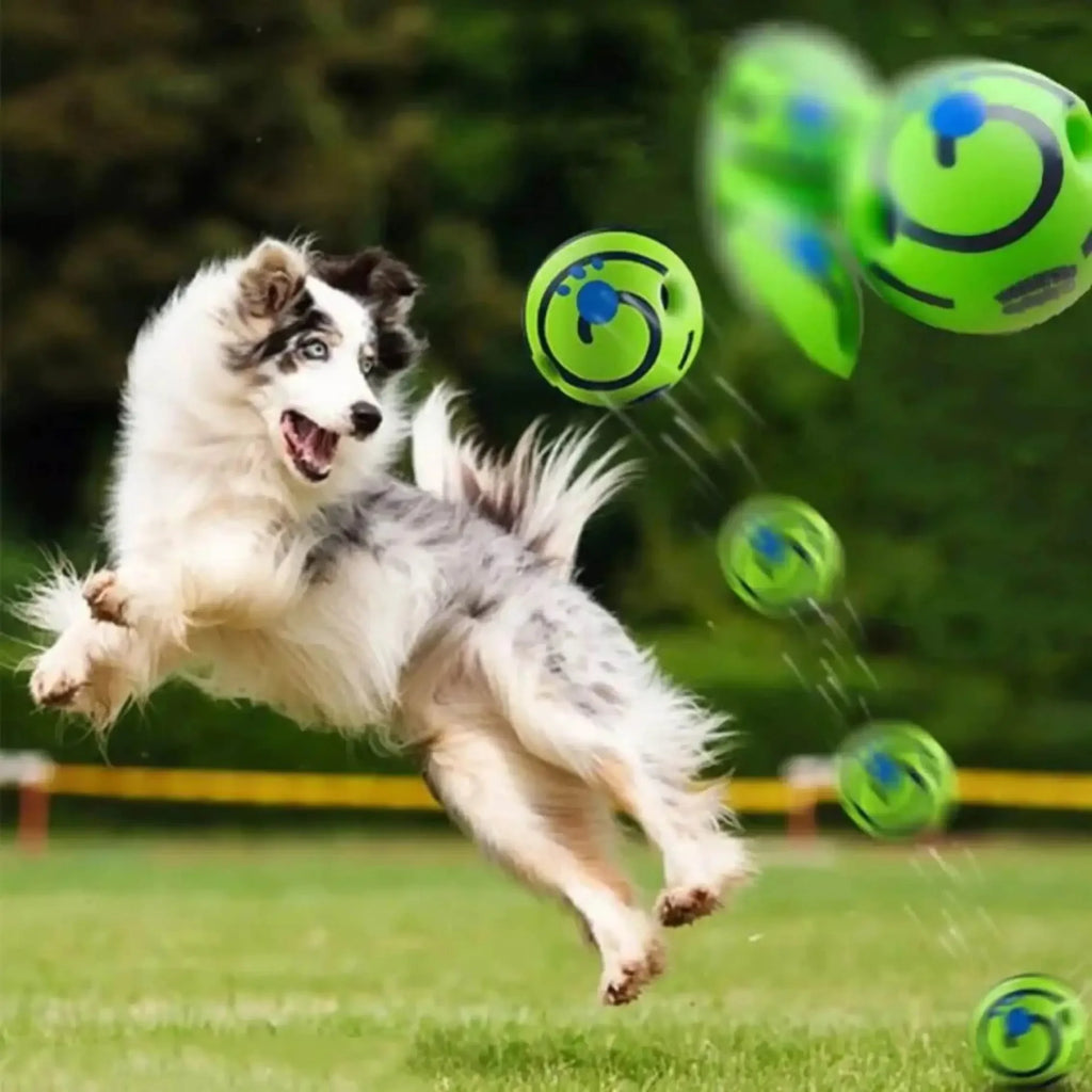 Giggle & Jingle IQ DOG Ball