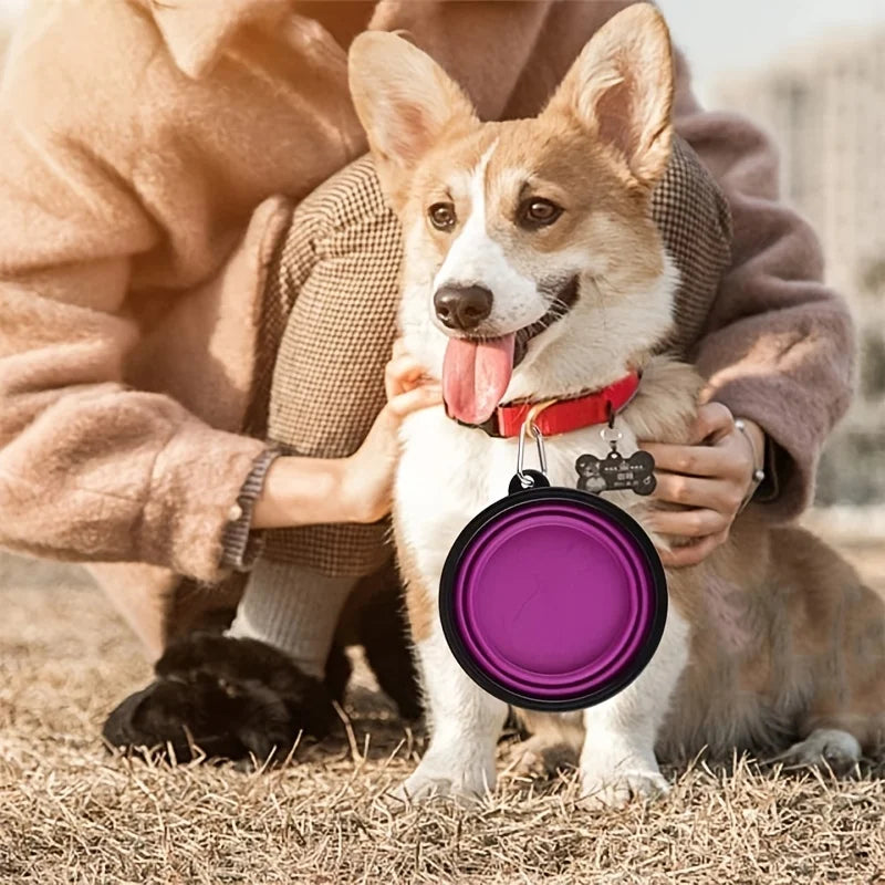 "Portable Pet Travel Food & Water Bowl".